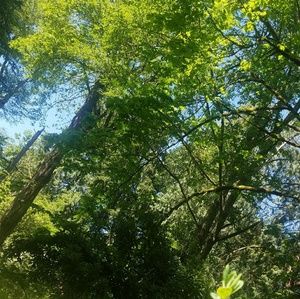 Meet your Posher, Claire